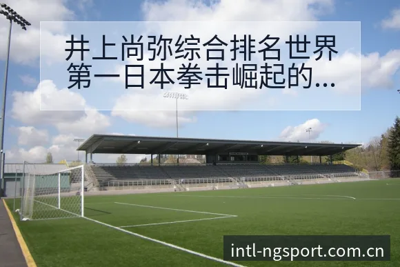 井上尚弥综合排名世界第一日本拳击崛起的数据对比与趋势观察 - NG体育