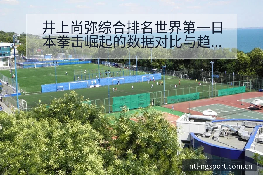 井上尚弥综合排名世界第一日本拳击崛起的数据对比与趋势观察 - NG体育